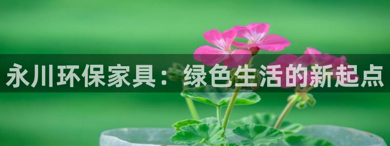 杏耀手机网页登录入口：永川环保家具：绿色生活的新起点