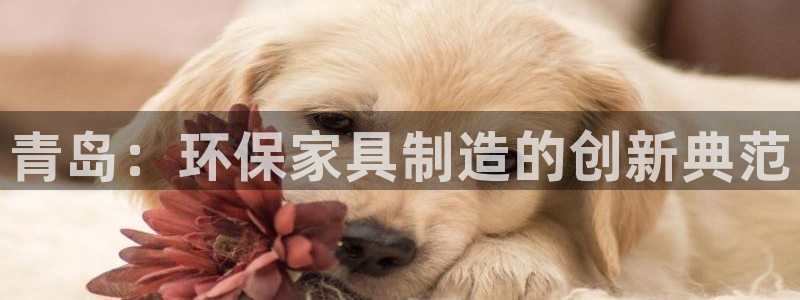 杏耀注册网址：青岛：环保家具制造的创新典范