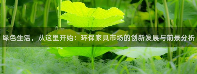 杏耀平台的专用通道：绿色生活，从这里开始：环保家具市场的创新