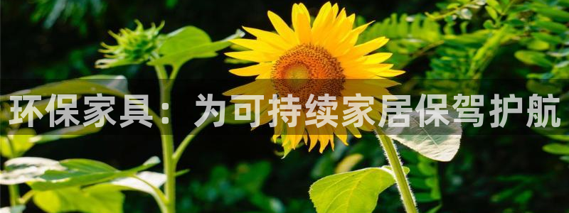 杏耀平台怎么注册：环保家具：为可持续家居保驾护航