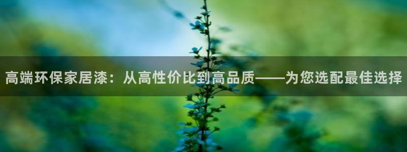 杏耀代理连接：高端环保家居漆：从高性价比到高品质——为您选配